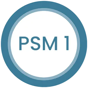 Professional Scrum Master PSM1